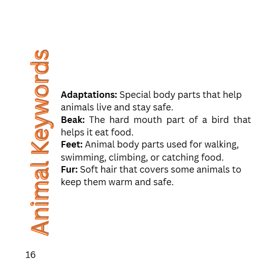 K-2 Animal Adaptations