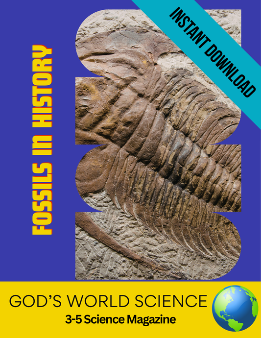 3-5 Fossils in History Science Magazine
