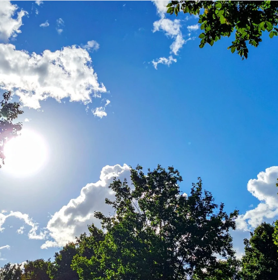 K-2 Investigating Weather