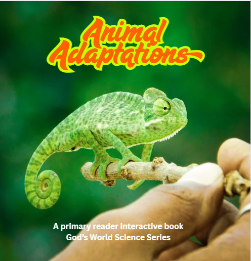 K-2 Animal Adaptations