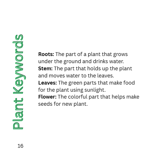 K-2 The Secret Life of Plants