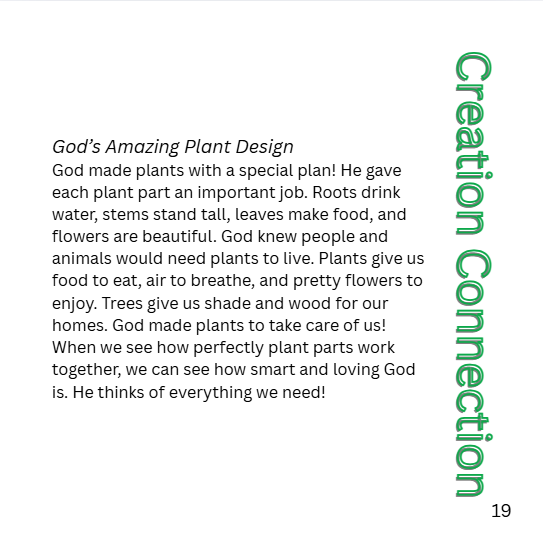 K-2 The Secret Life of Plants